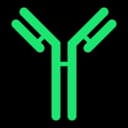 Antibody